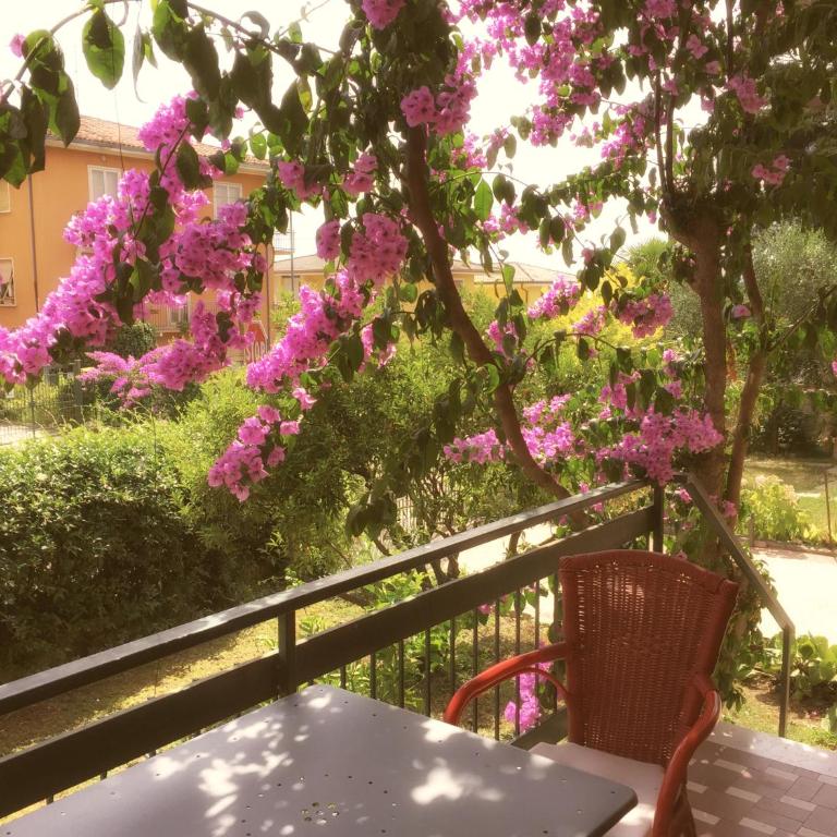 Residenza Bouganville - Appartement 1 Chambre - 3
