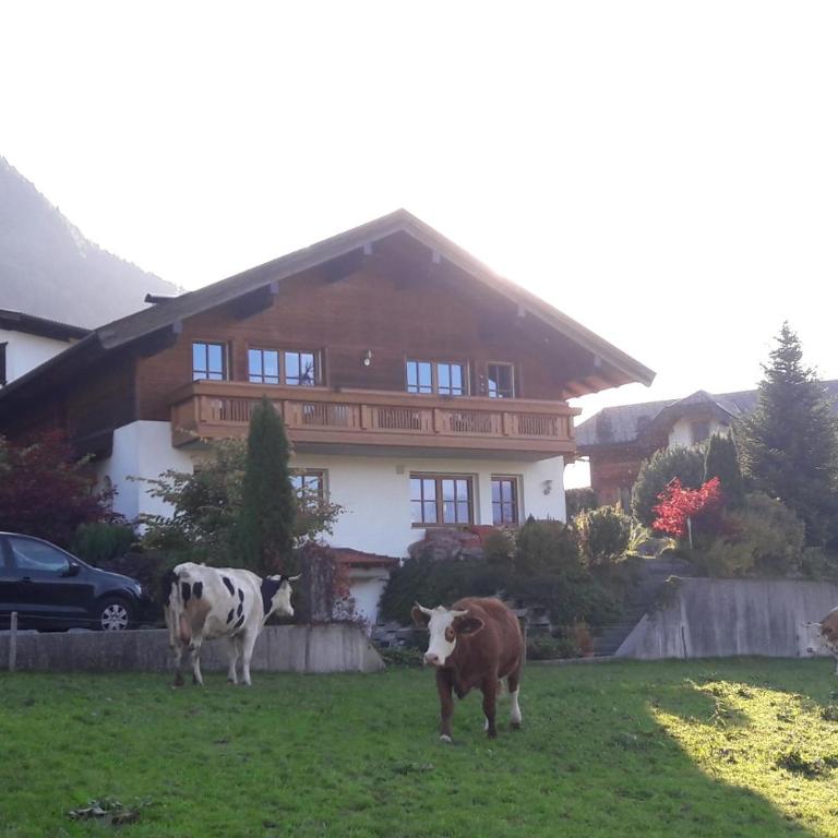 Landhaus Müller - Apartment mit Terrasse - 24