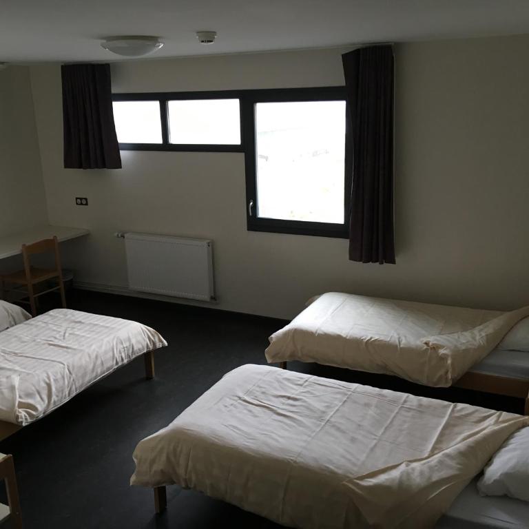 Auberge de jeunesse L'Escale - Chambre Quadruple - 3