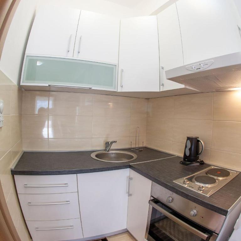 Mejić Apartments - Studio Apartment (4 Adults) - 12
