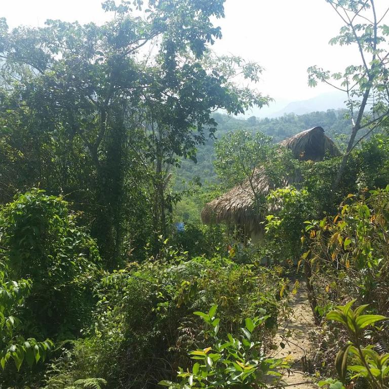 Minca Glamping - Bungalow Deluxe con vistas al jardín - 18