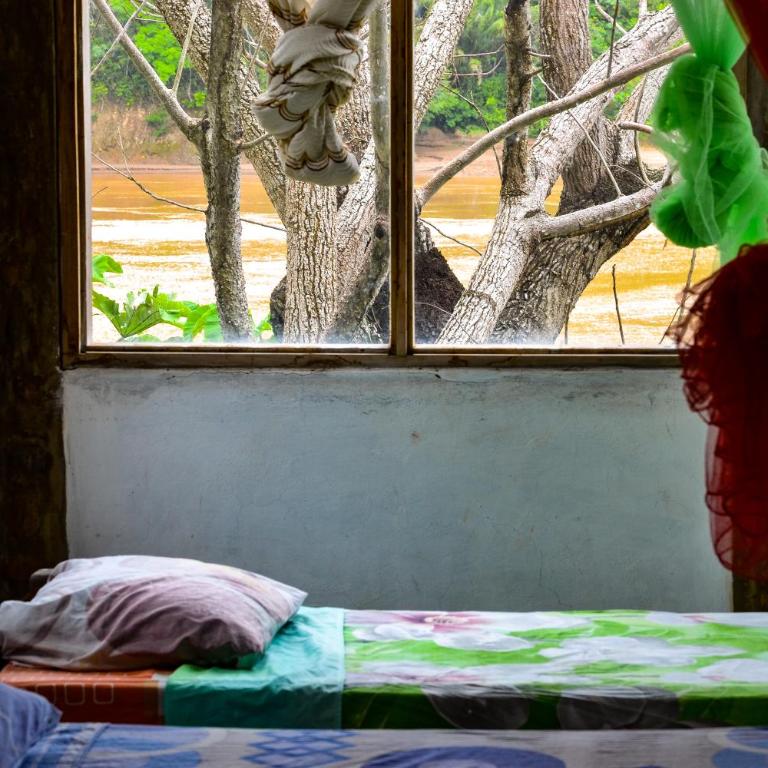 Lobo Hostel - Rurrenabaque - Cama individual en dormitorio mixto - 2