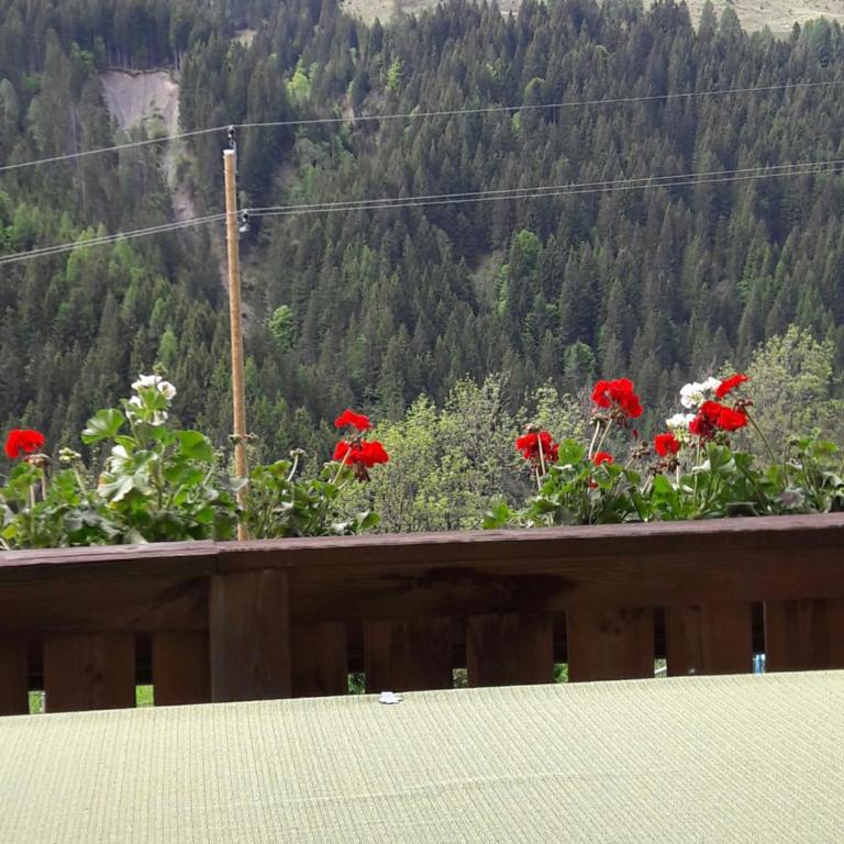 Gästehaus Ortner - Doppelzimmer - 1