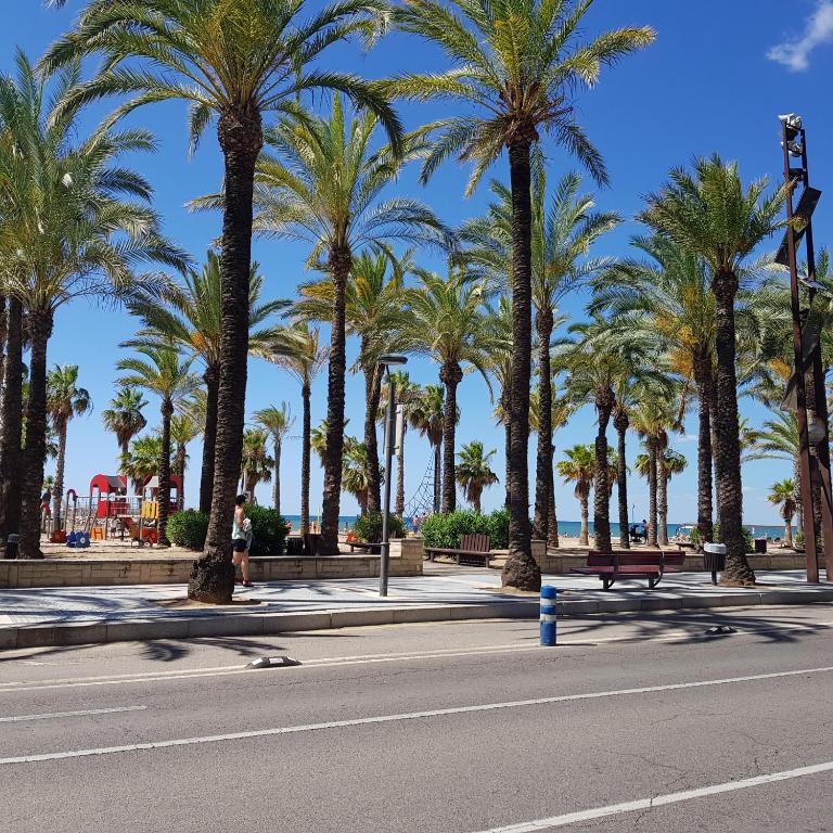 Miramar Nautic - Apartamento con vistas al mar - 31