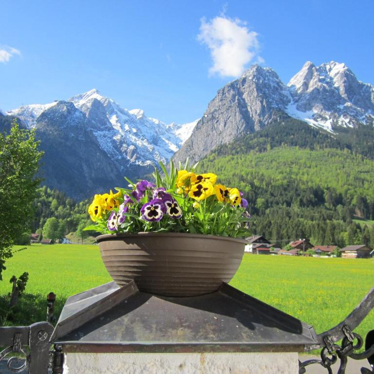 Landhaus Waldrebe - Apartment mit Blick auf die Berge - 14