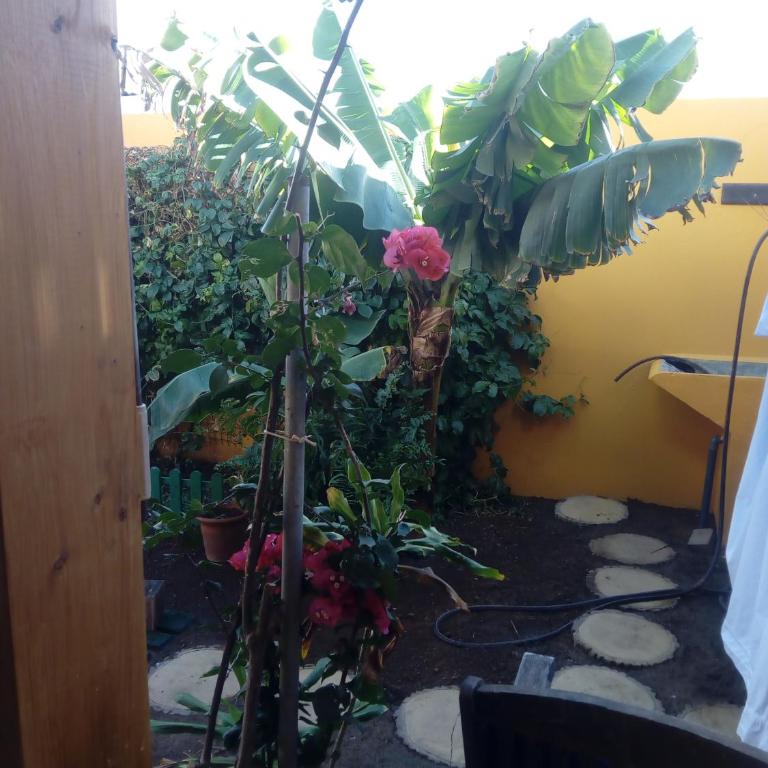 Sweet Home - Haus mit 2 Schlafzimmern - 22