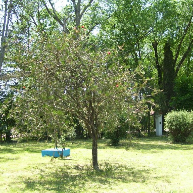 Casa quinta Chivilcoy - Casa de 2 dormitorios - 13