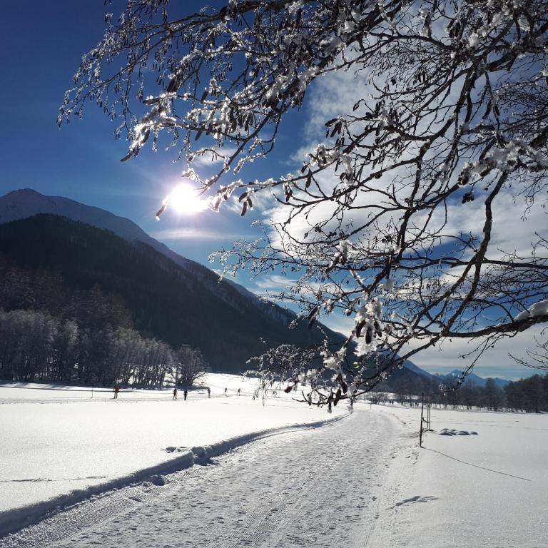 Alpensonne - Apartment mit Blick auf die Berge - 41