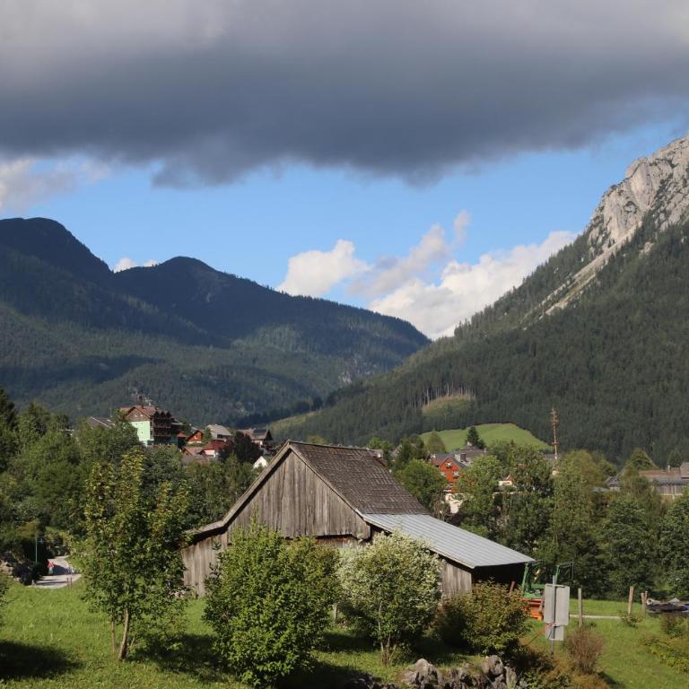 Apartmán Tauplitz - Apartamento con vistas a las montañas - 59