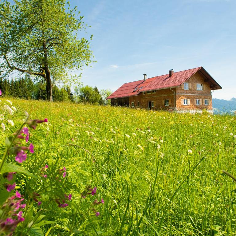 Chalet Hageberg ab Mai freie Fahrt mit Bergbahnen - Ferienhaus - 12