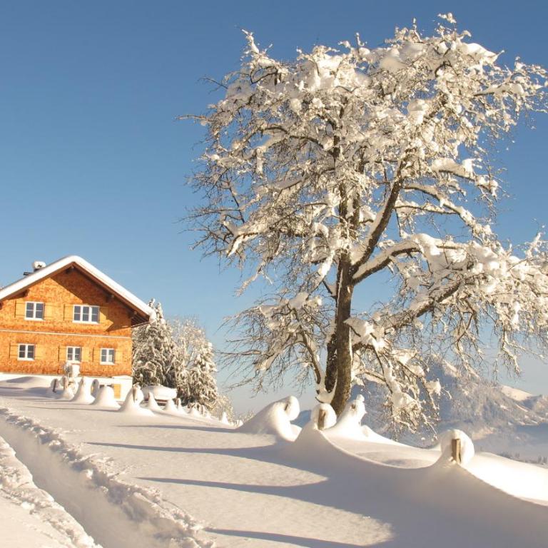 Chalet Hageberg ab Mai freie Fahrt mit Bergbahnen - Ferienhaus - 10