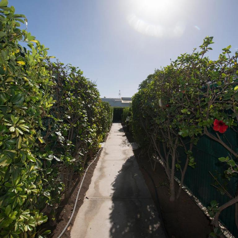 Aloha Maspalomas - Wonderful private terrace - Apartment with Terrace - 27