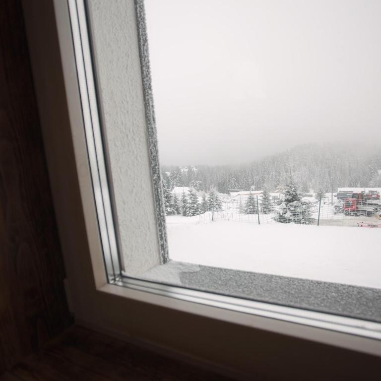 Zupa Deluxe Kopaonik - Apartman sa 1 Spavaćom Sobom - 20