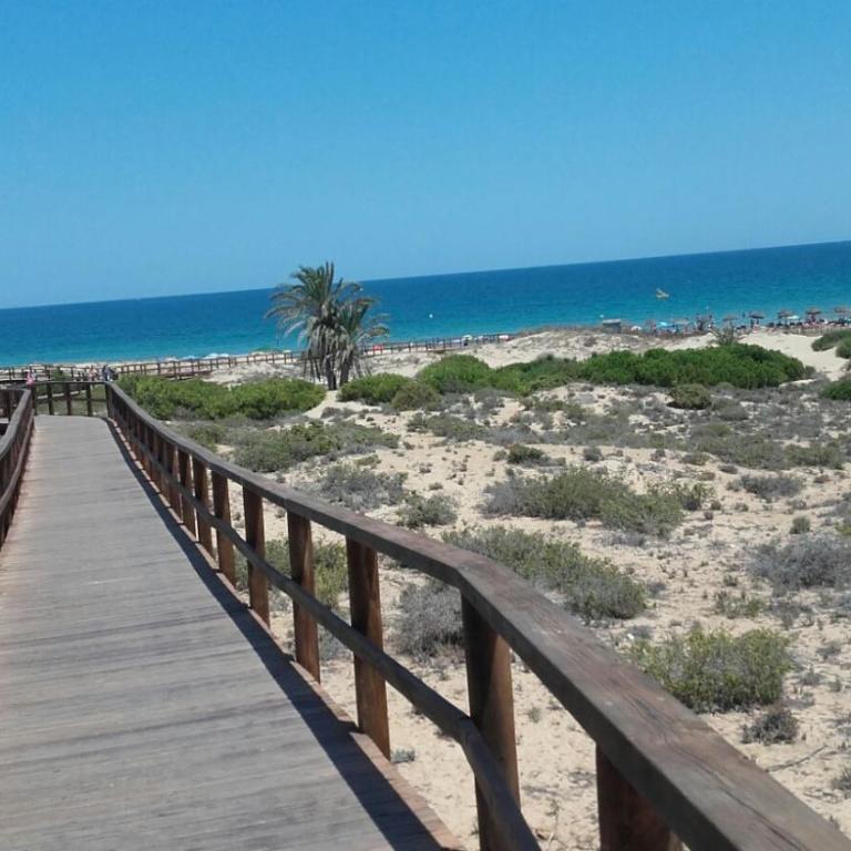 Bungalow Arenales del Sol, Alicante - Apartamento Dúplex - 42
