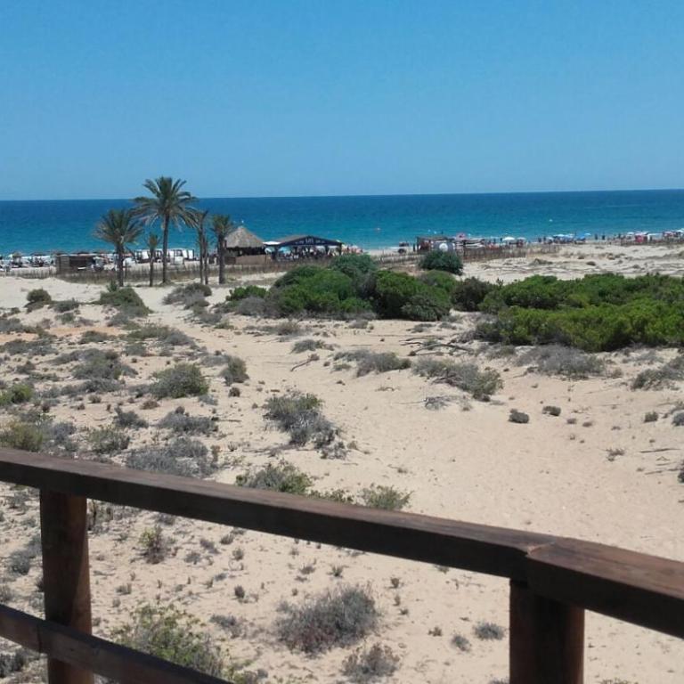 Bungalow Arenales del Sol, Alicante - Apartamento Dúplex - 16