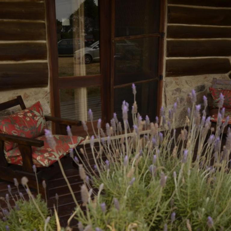 Maravillosa - One-Bedroom House - 3