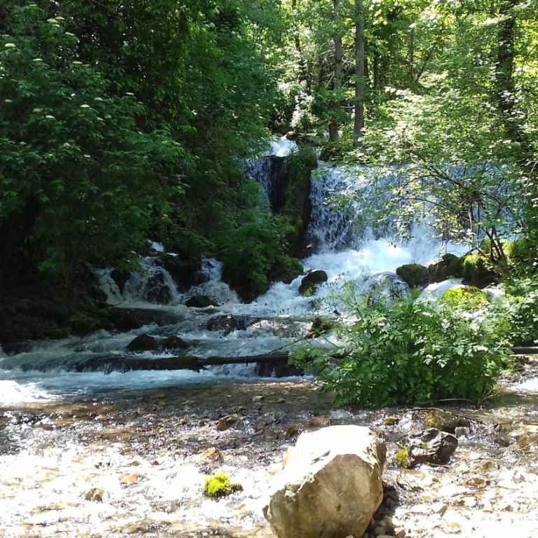 Kucerak na Drini - Kuća sa 1 Spavaćom Sobom - 78