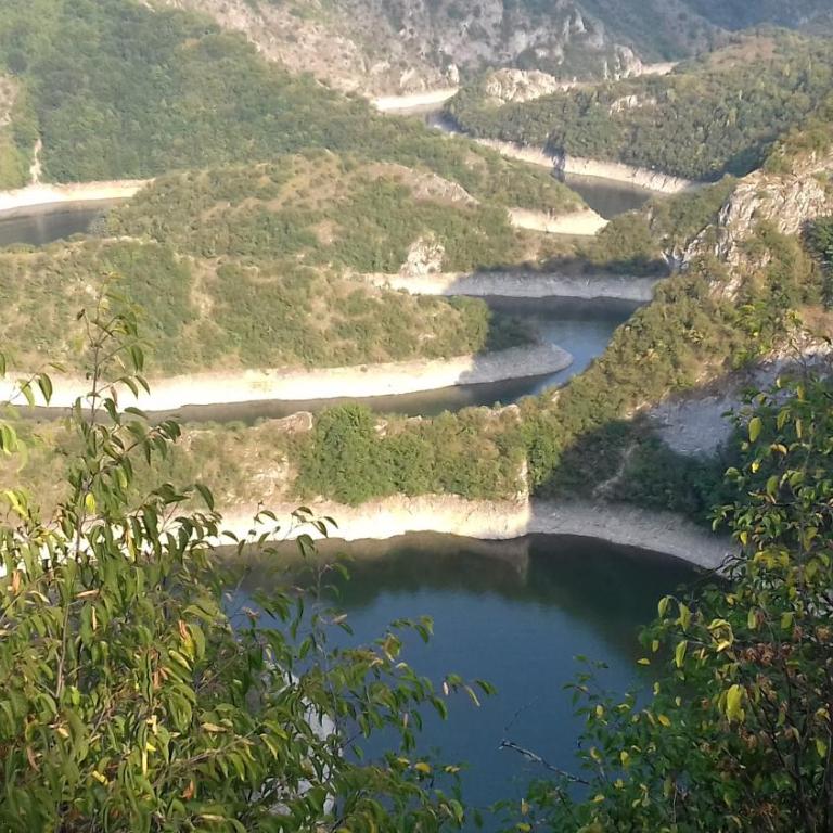 Kucerak na Drini - Kuća sa 1 Spavaćom Sobom - 98