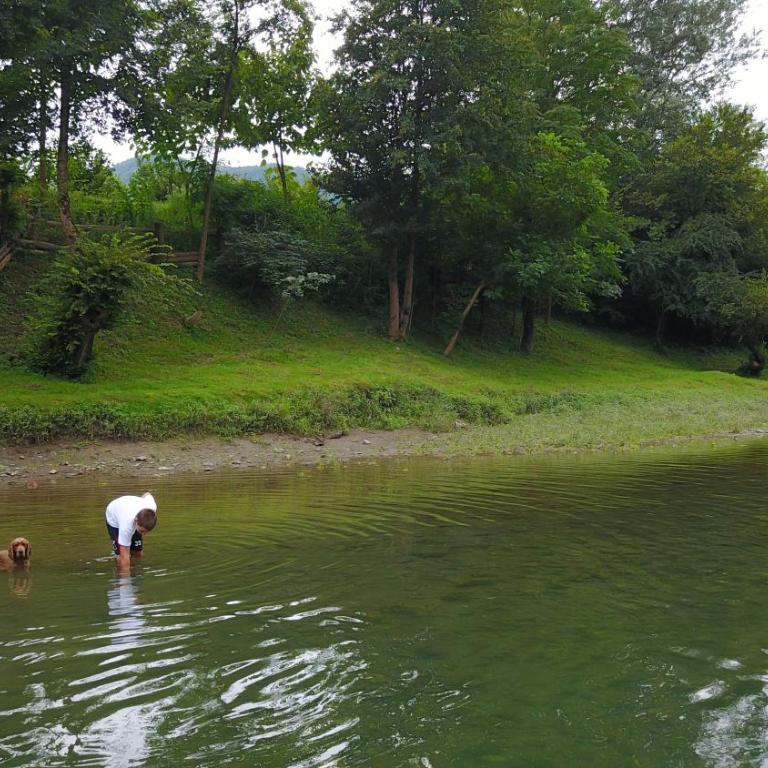 Kucerak na Drini - Kuća sa 1 Spavaćom Sobom - 51