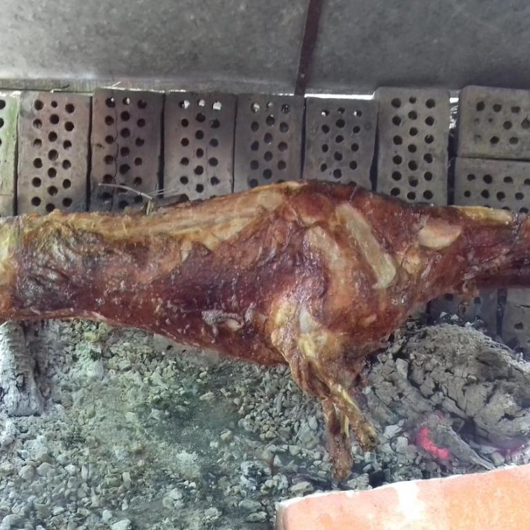 Kucerak na Drini - Kuća sa 1 Spavaćom Sobom - 49