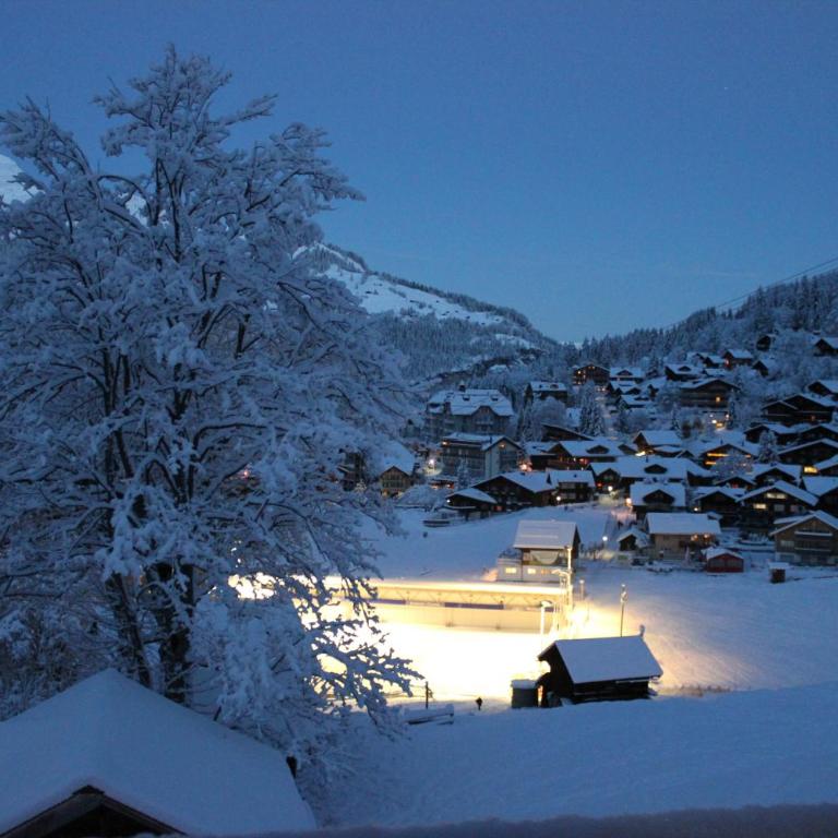 Chalet Aquila 7 Penthouse - Penthouse-Apartment - 52