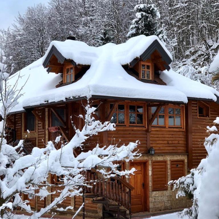 Zlatibor Resort & Spa - Villa - 42