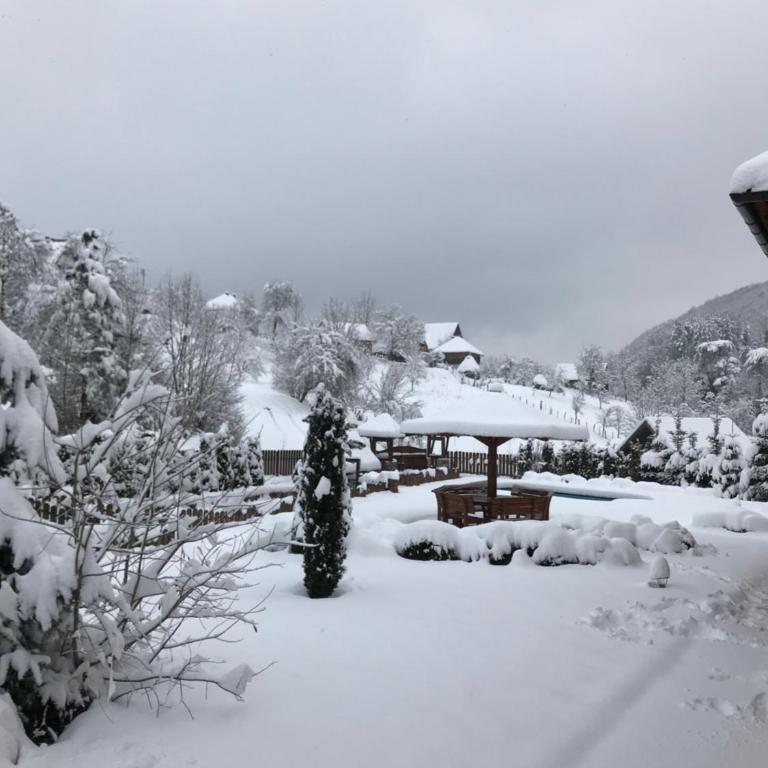 Zlatibor Resort & Spa - Vila - 43