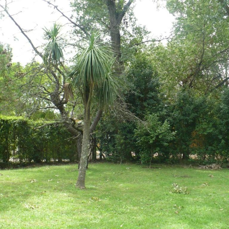 Casa quinta Chivilcoy - Casa de 2 dormitorios - 11