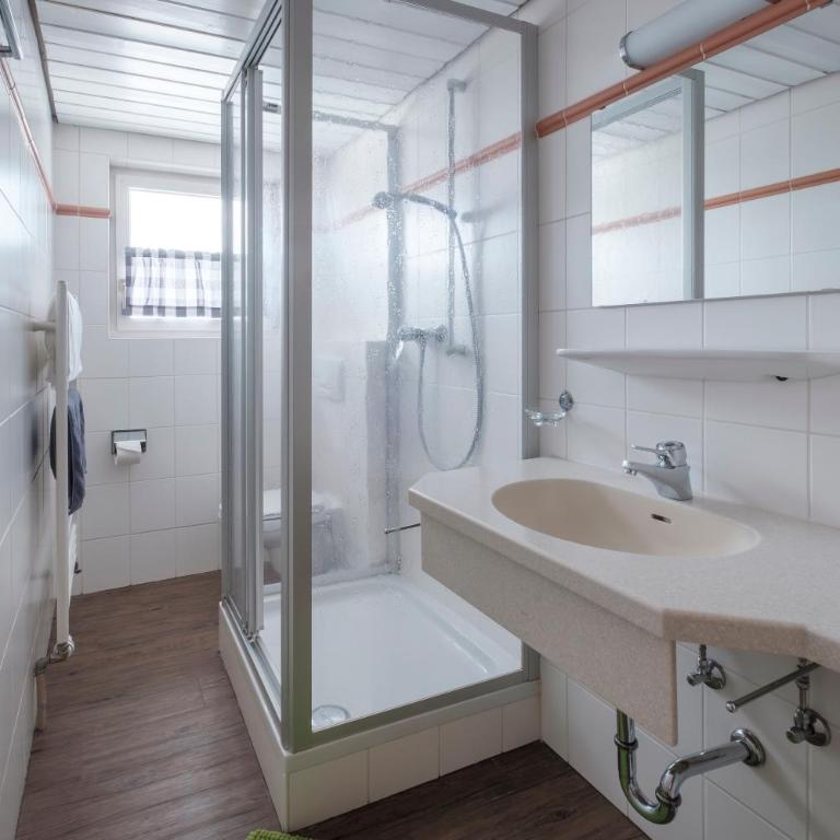 Ferienwohnungen dorfhaus - One-Bedroom Apartment (Lieblingsplatz) - 2