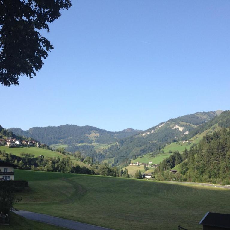 Chalet Schiederhof - Ferienhaus - 5