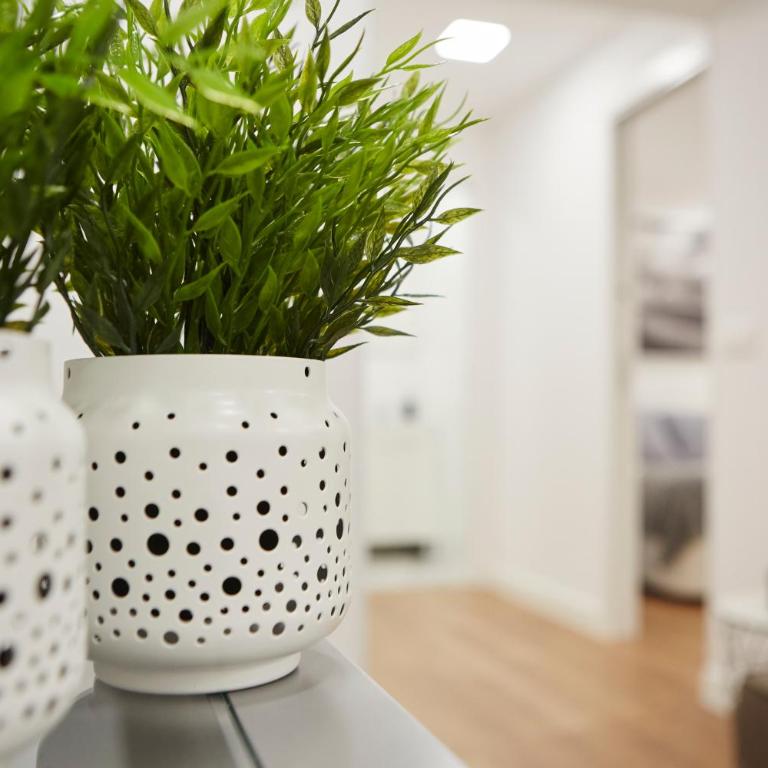 LEEWAYS APARTMENT in SAN LORENZO - Apartment - 11
