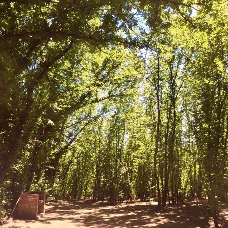 Quinta El Rosal - Superior Chalet - 11