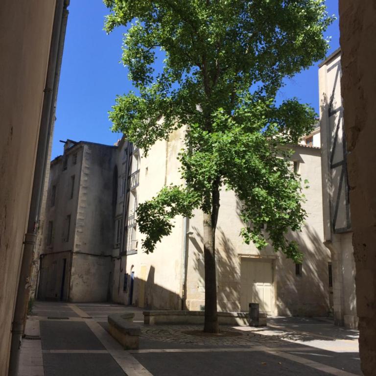 Appt 2 à 4 pers - La Rochelle Vieux Port - Apartment mit 1 Schlafzimmer - 10