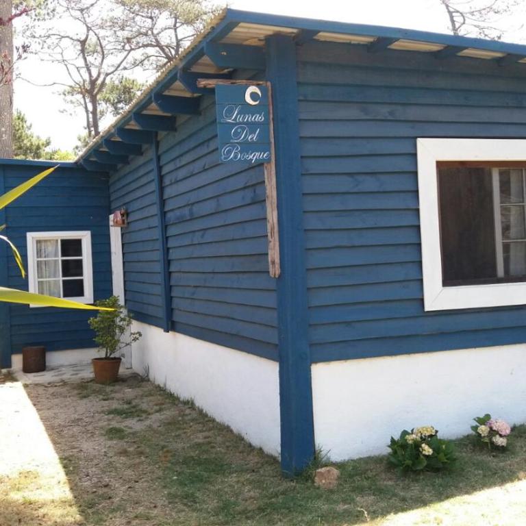 Lunas del Bosque Cabaña y apartamento en suite - Apartamento de 1 dormitorio - 22