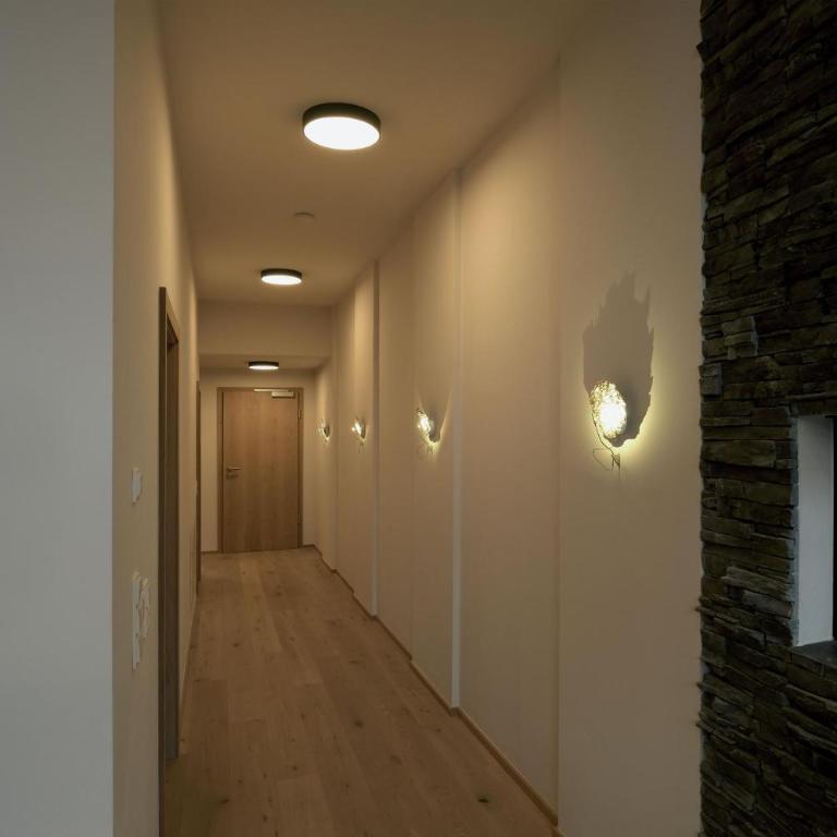 Alpin Penthouse Hollersbach - Penthouse-Apartment - 19