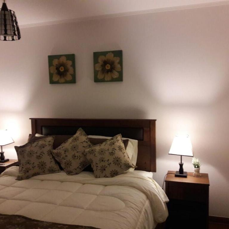 Paillahue Pucon - Apartamento de 2 dormitorios - 35