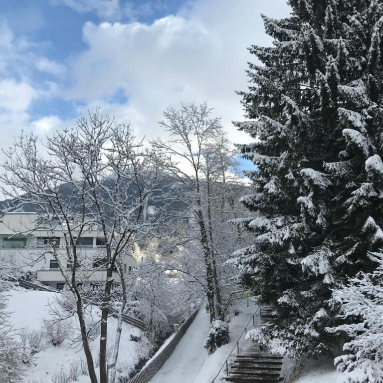 Apartment Gisi - Apartment mit Blick auf die Berge - 64