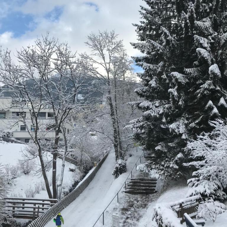 Apartment Gisi - Apartment mit Blick auf die Berge - 33