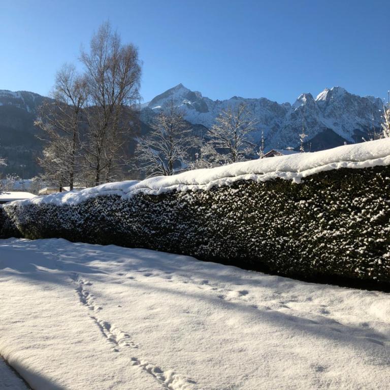 Studio Loisachtal - Apartment - Erdgeschoss - 60