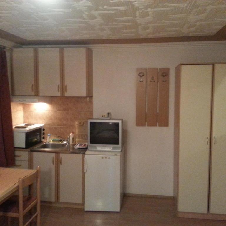 Vila Stojkovic Zlatibor - Studio Apartman - 3