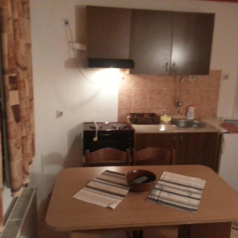 Vila Stojkovic Zlatibor - Studio Apartman - 3