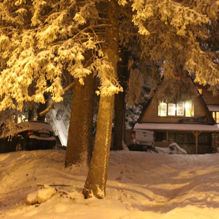 Snow Angel Jahorina - Two-Bedroom House - 11
