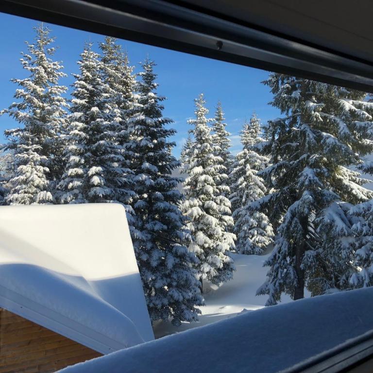 Apartmani MONT 1 - Two-Bedroom Apartment - 16