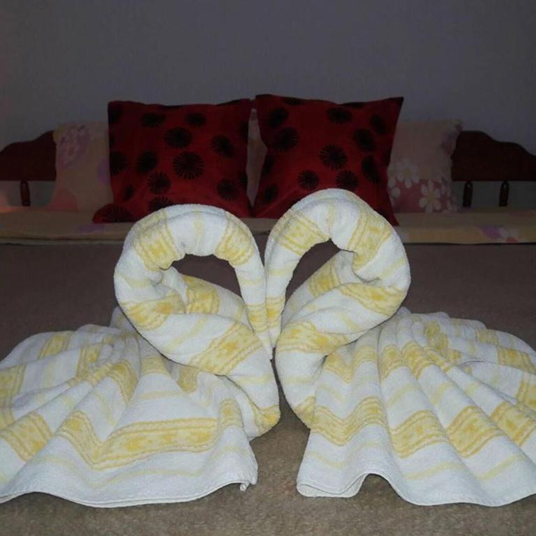 Vila Lenka Sokobanja - Apartment - Ground Floor - 33
