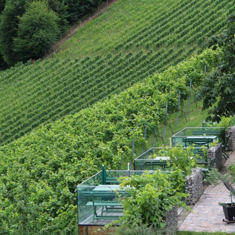 Weingut Sternat vlg. Schmalzpeter - Ferienhaus - 28