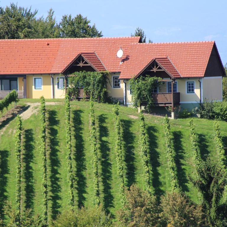 Weingut Sternat vlg. Schmalzpeter - Ferienhaus - 48