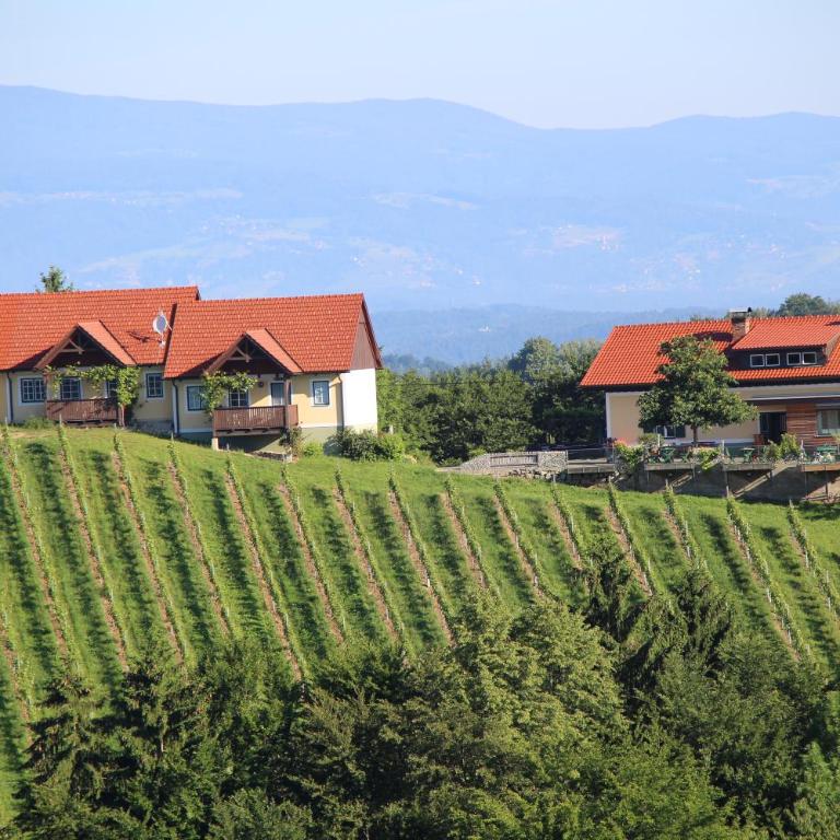 Weingut Sternat vlg. Schmalzpeter - Ferienhaus - 47