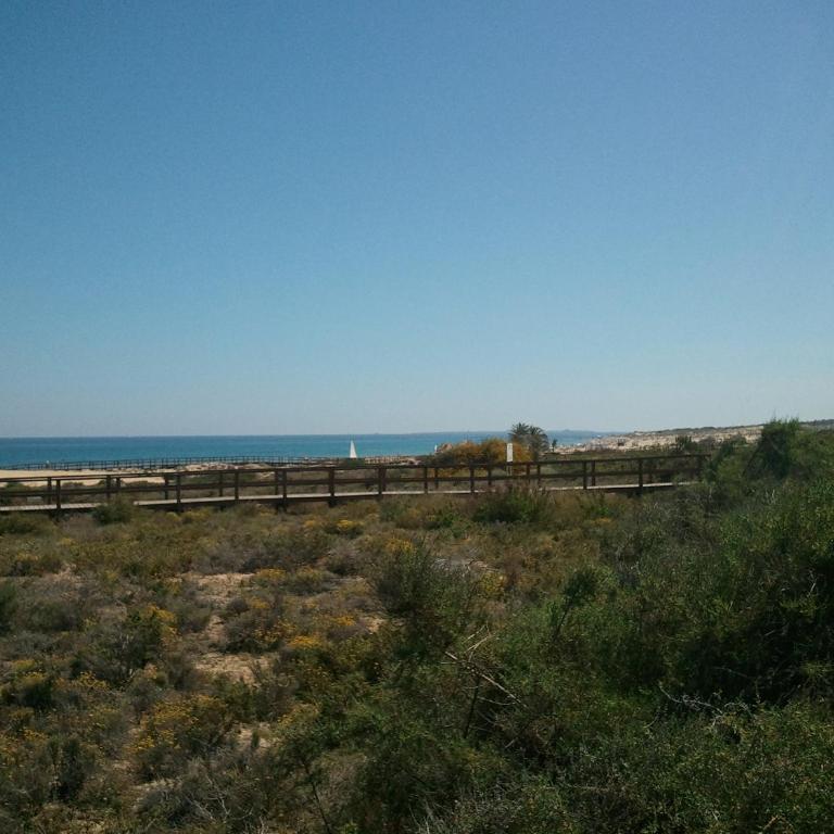 Bungalow Arenales del Sol, Alicante - Apartamento Dúplex - 40