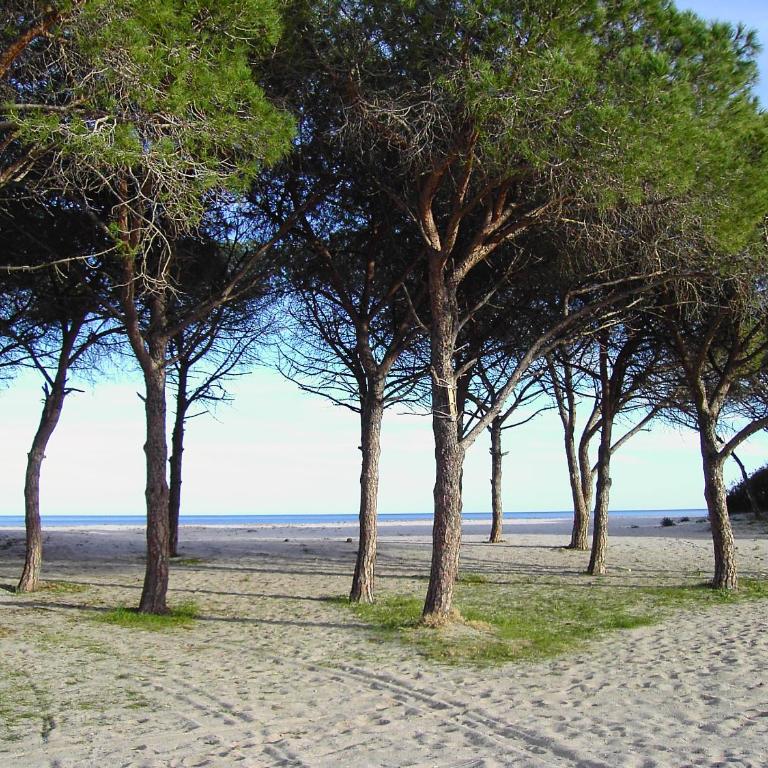 Gli Ulivi - Appartamento con Vista Giardino - 25