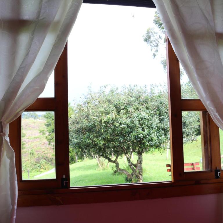 Finca La Toscana - Double Room - 6